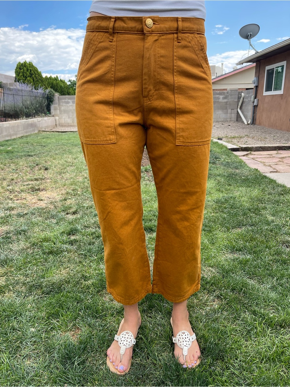 Big Bud Press Work Pants in Mustard Brown